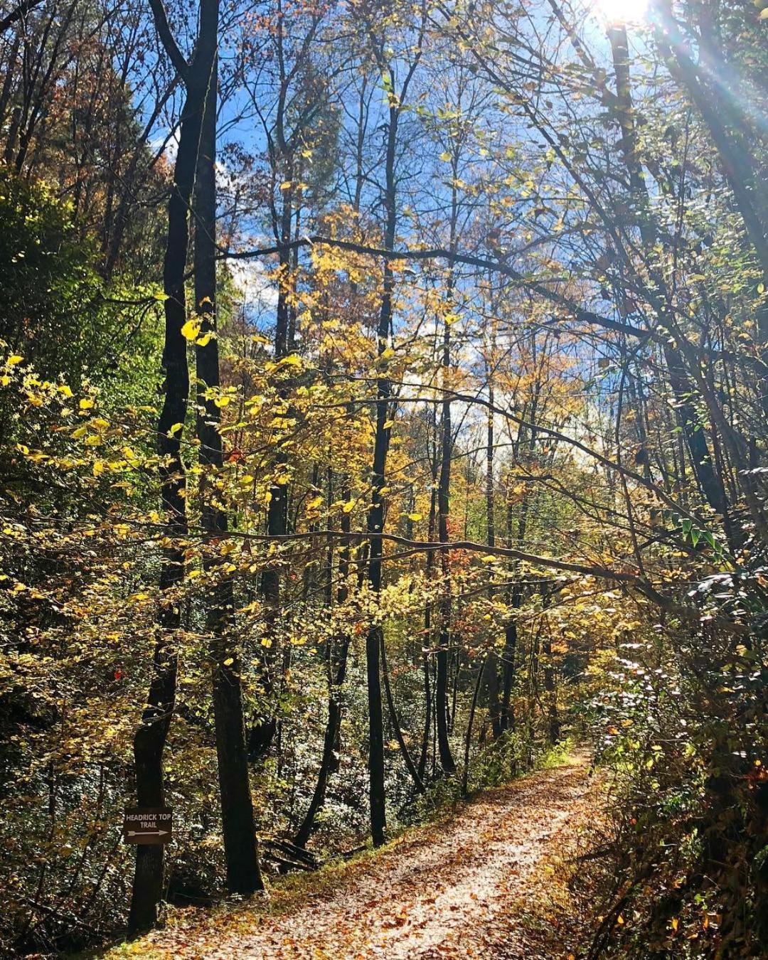 Villa Eagle'S Ridge Sevierville Esterno foto